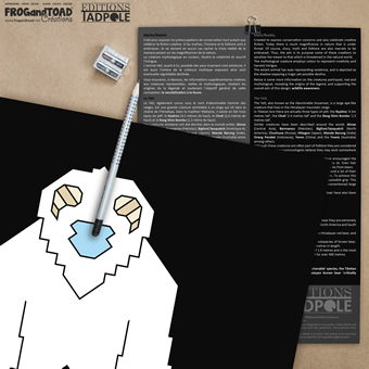 Yéti Ours Yeti Bear MINIMAL Digital PDF Art - FROGandTOAD Créations